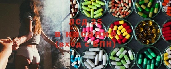 spice Аркадак