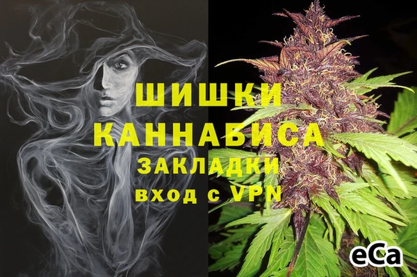 spice Аркадак