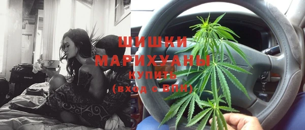 PSILOCYBIN Алзамай